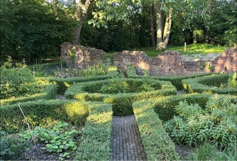 Hagen vormen een tuinlabyrint met oude bakstenen muur en bomen op de achtergrond.