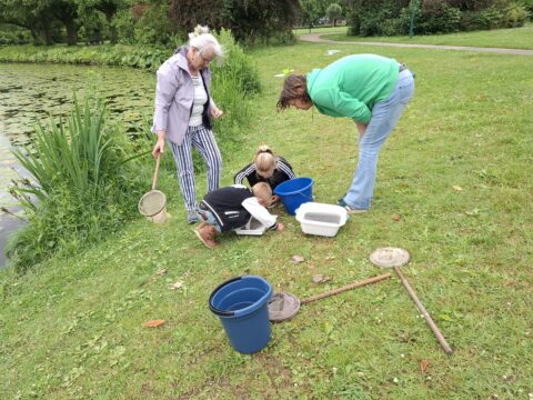 Drie mensen onderzoeken waterdieren met emmers en netten bij een vijver.