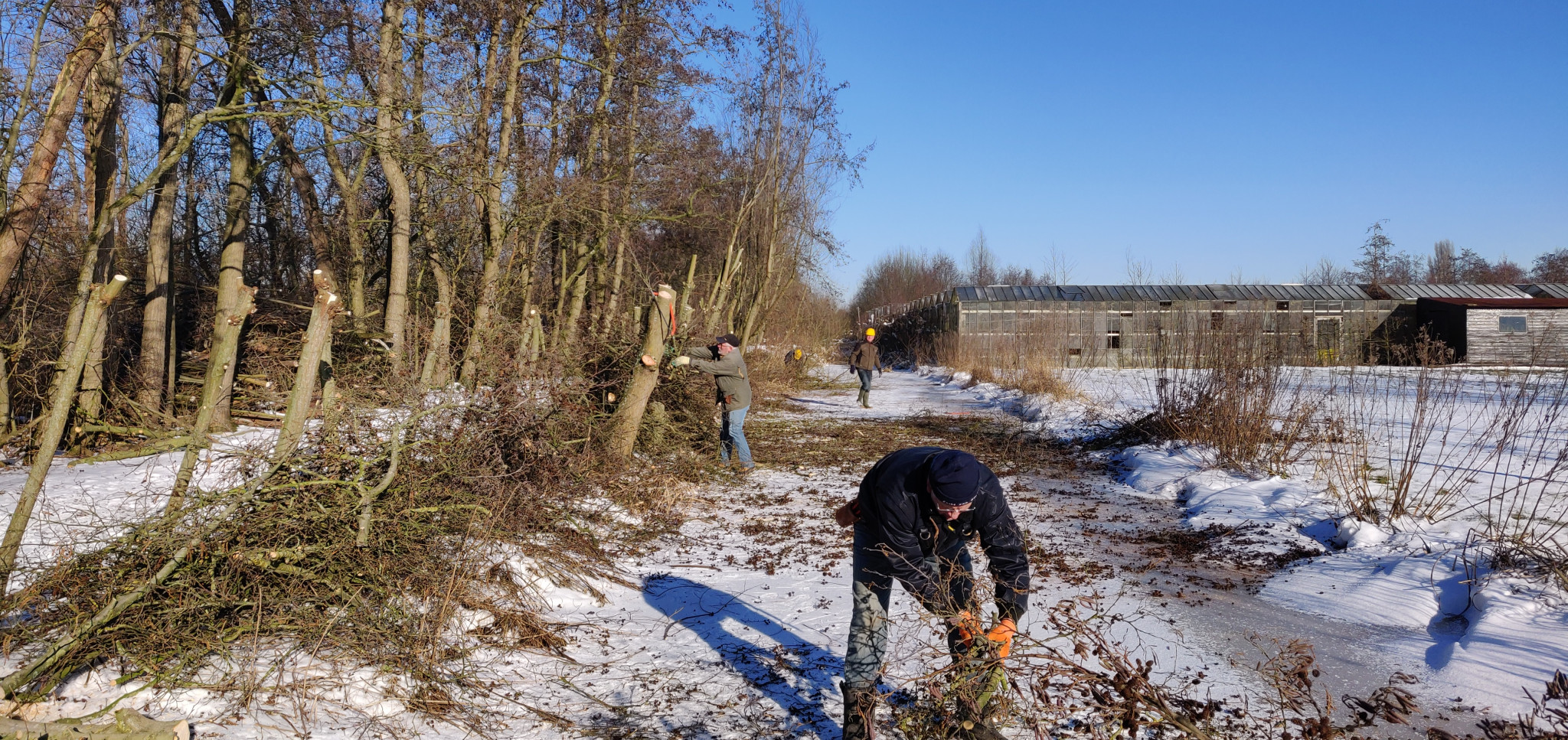 Werkgroep Landschapsbeheer aan de slag in de sneeuw