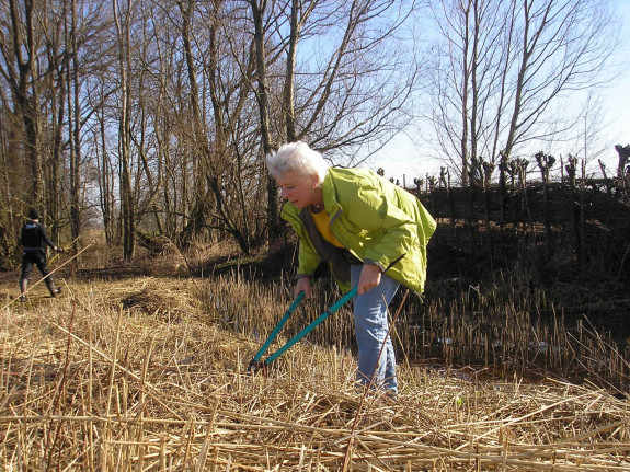 Vogelkijkgroep IVN Woerden