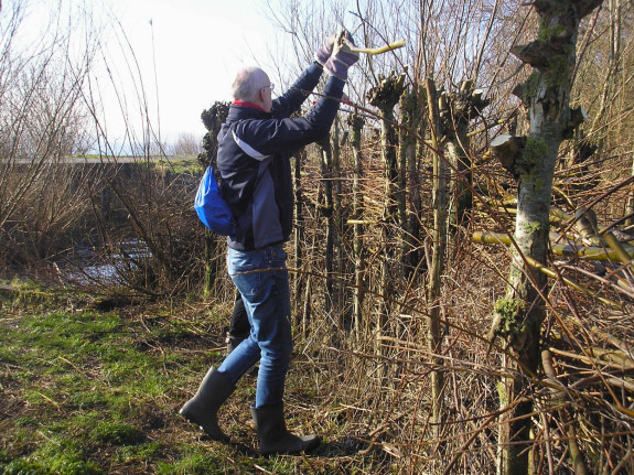 Vogelkijkgroep IVN Woerden