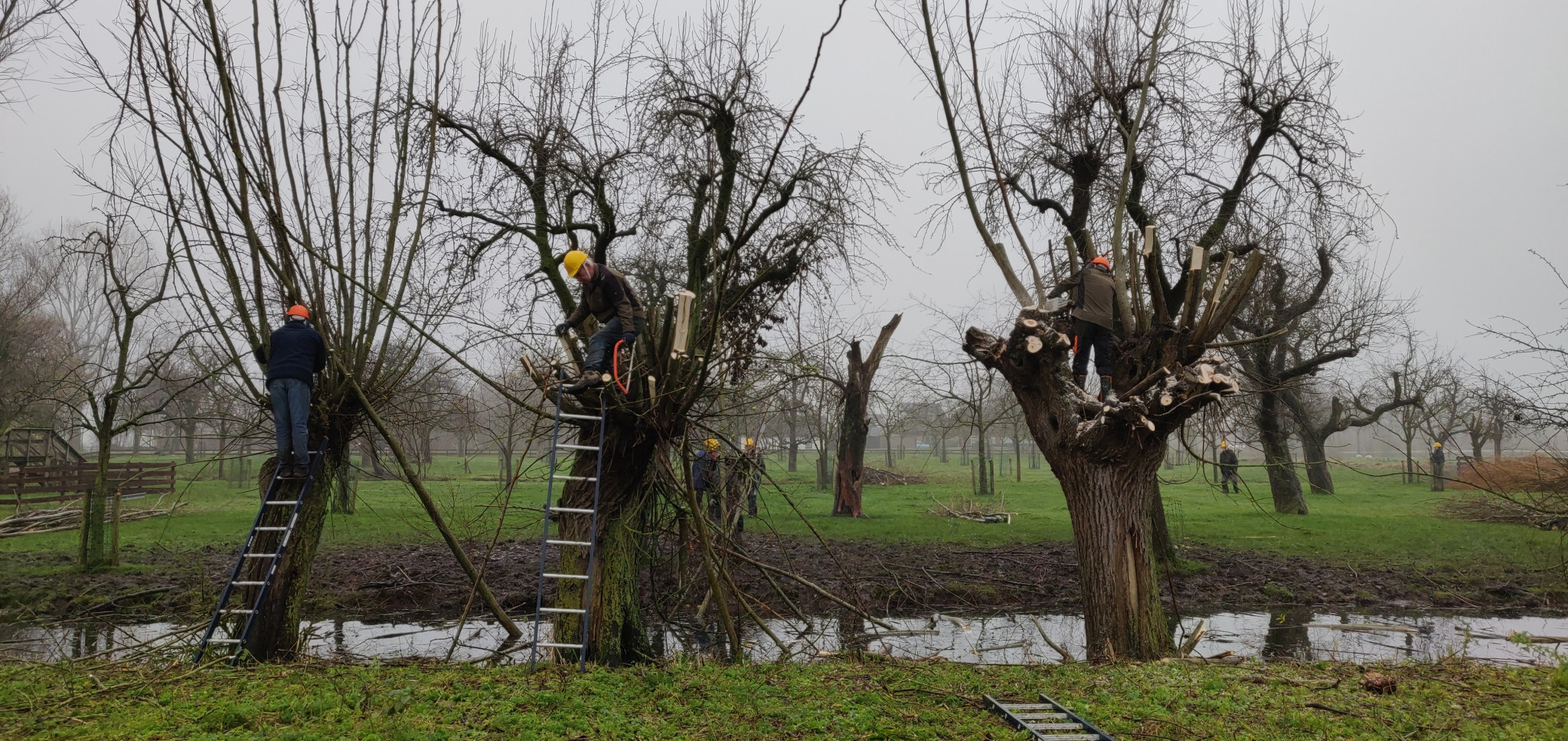 Werkgroep Landschapsbeheer – februari