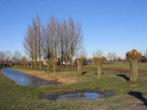 Werkgroep Landschapsbeheer – maart