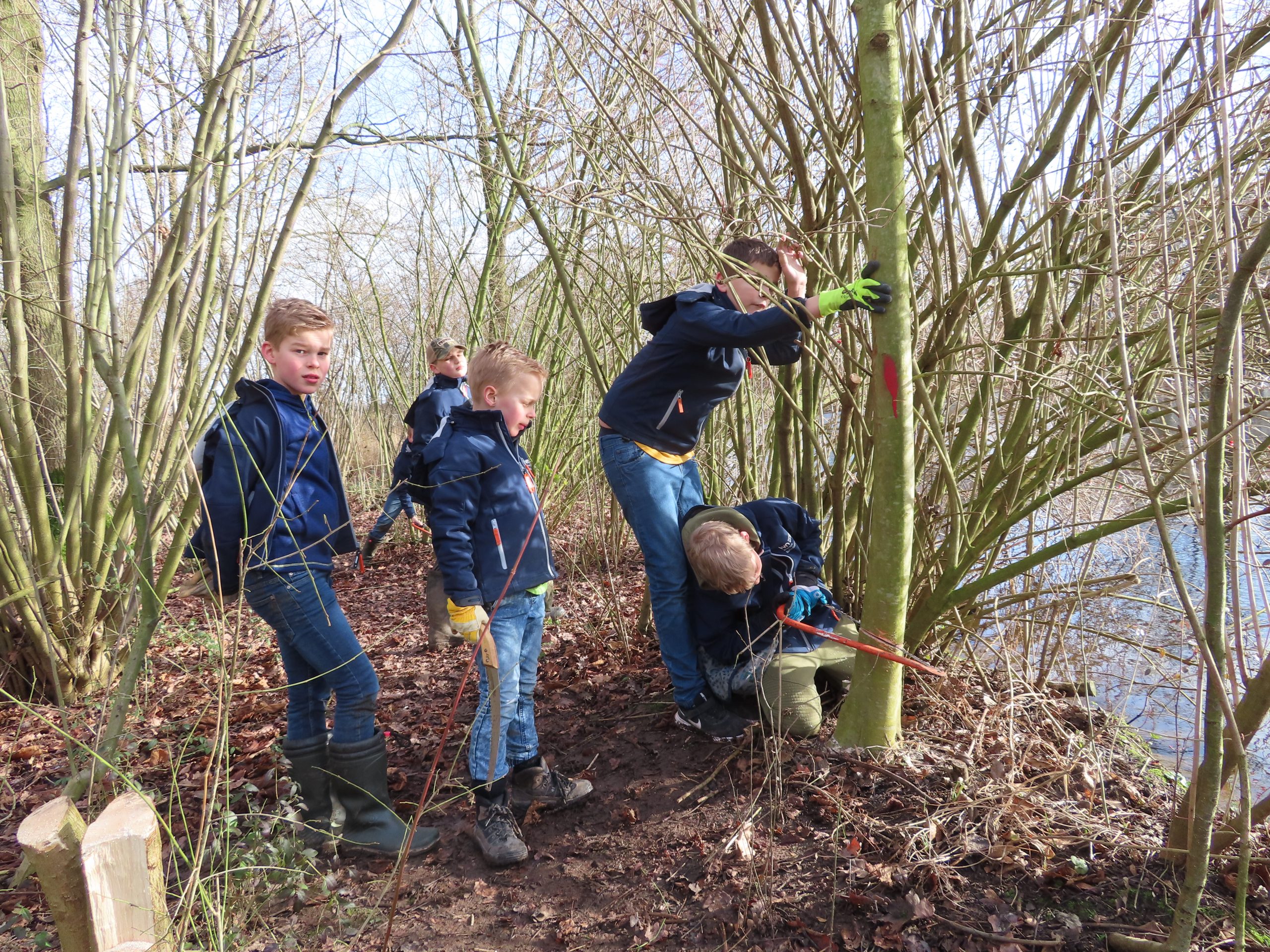 Kinderen snoeien bomen in bosrijke omgeving bij een rivier.