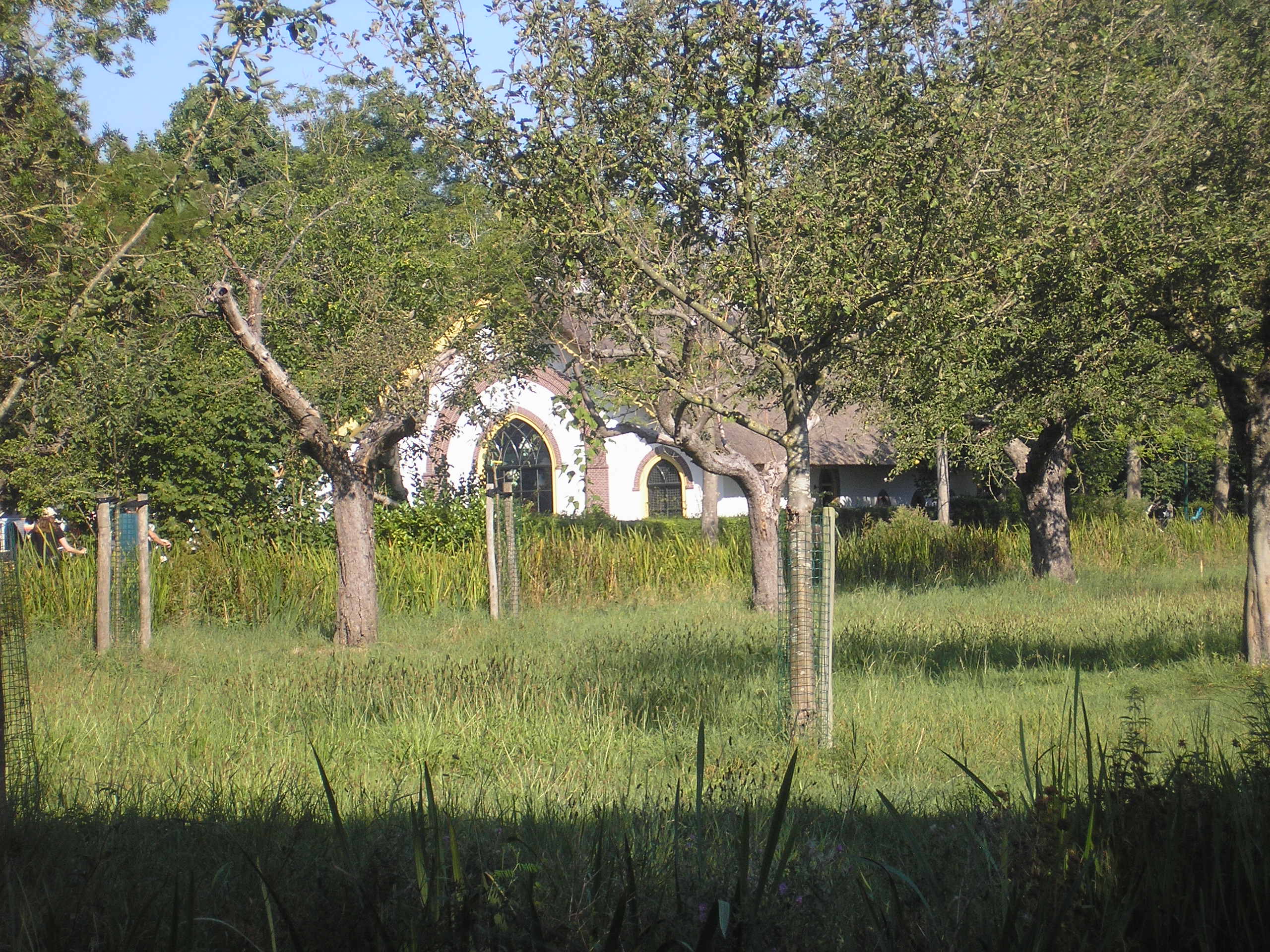 Boomgaard met oude bomen voor rieten huis met boogvormige ramen, omringd door groene vegetatie.