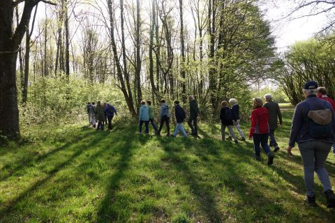 Wandelingen op 1e en 3e donderdag van de maand