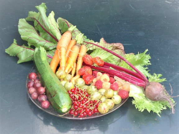 fruit