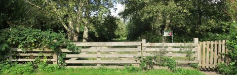 Houten hek voor een bospad met groene bomen en struiken eromheen.
