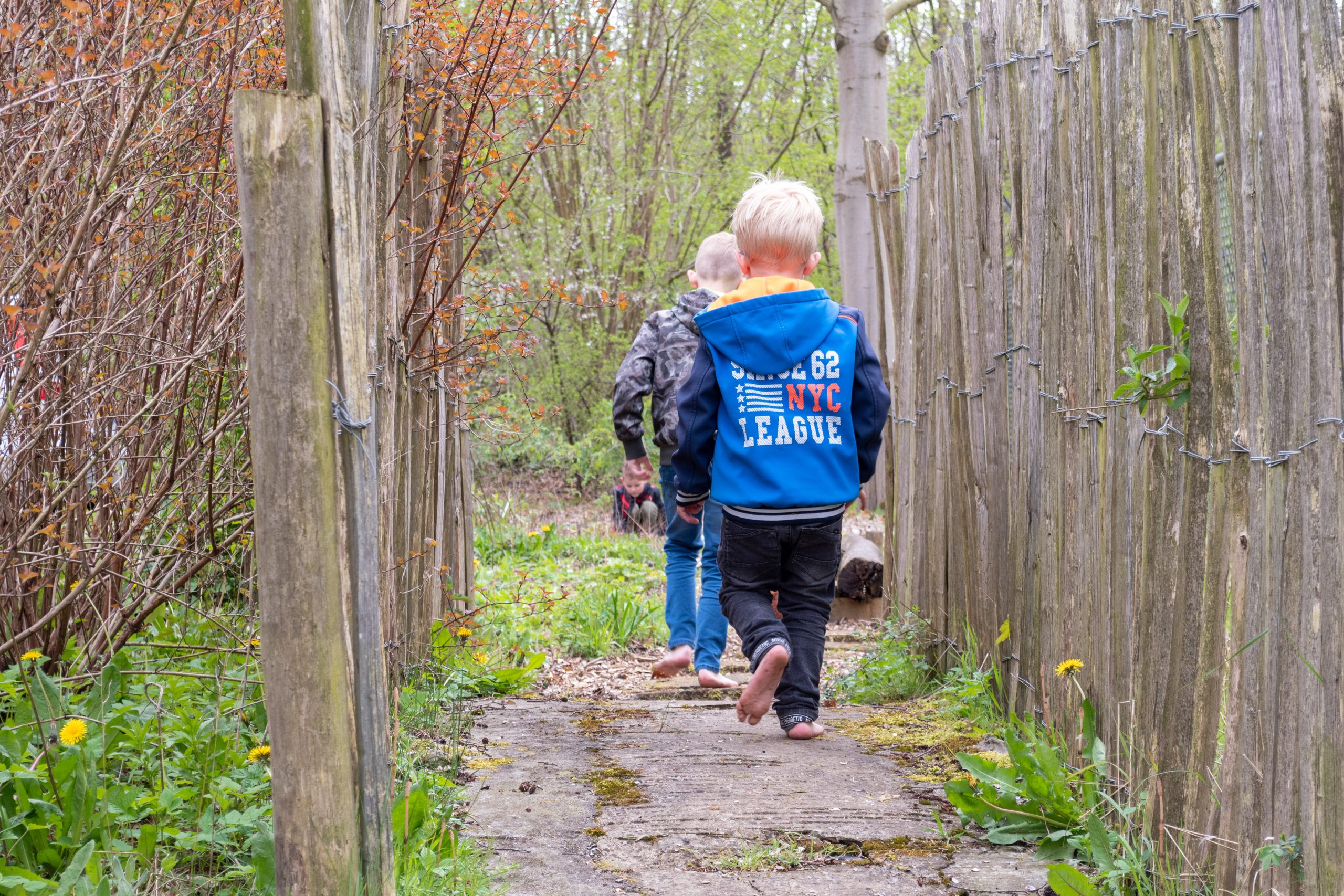 Drie kinderen lopen op blote voeten langs een paadje omringd door houten schuttingen en groene bladeren.