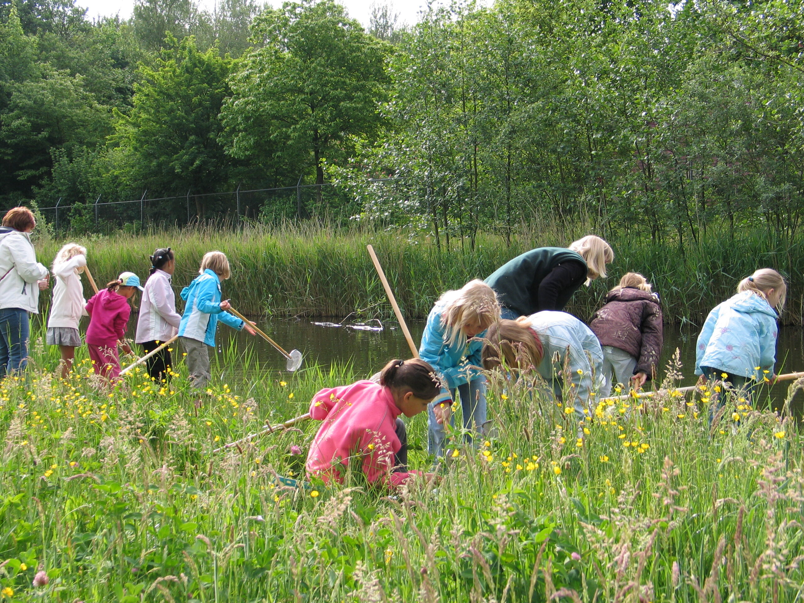 Kinderen onderzoeken een vijver met netten in een groene, bloemrijke omgeving.