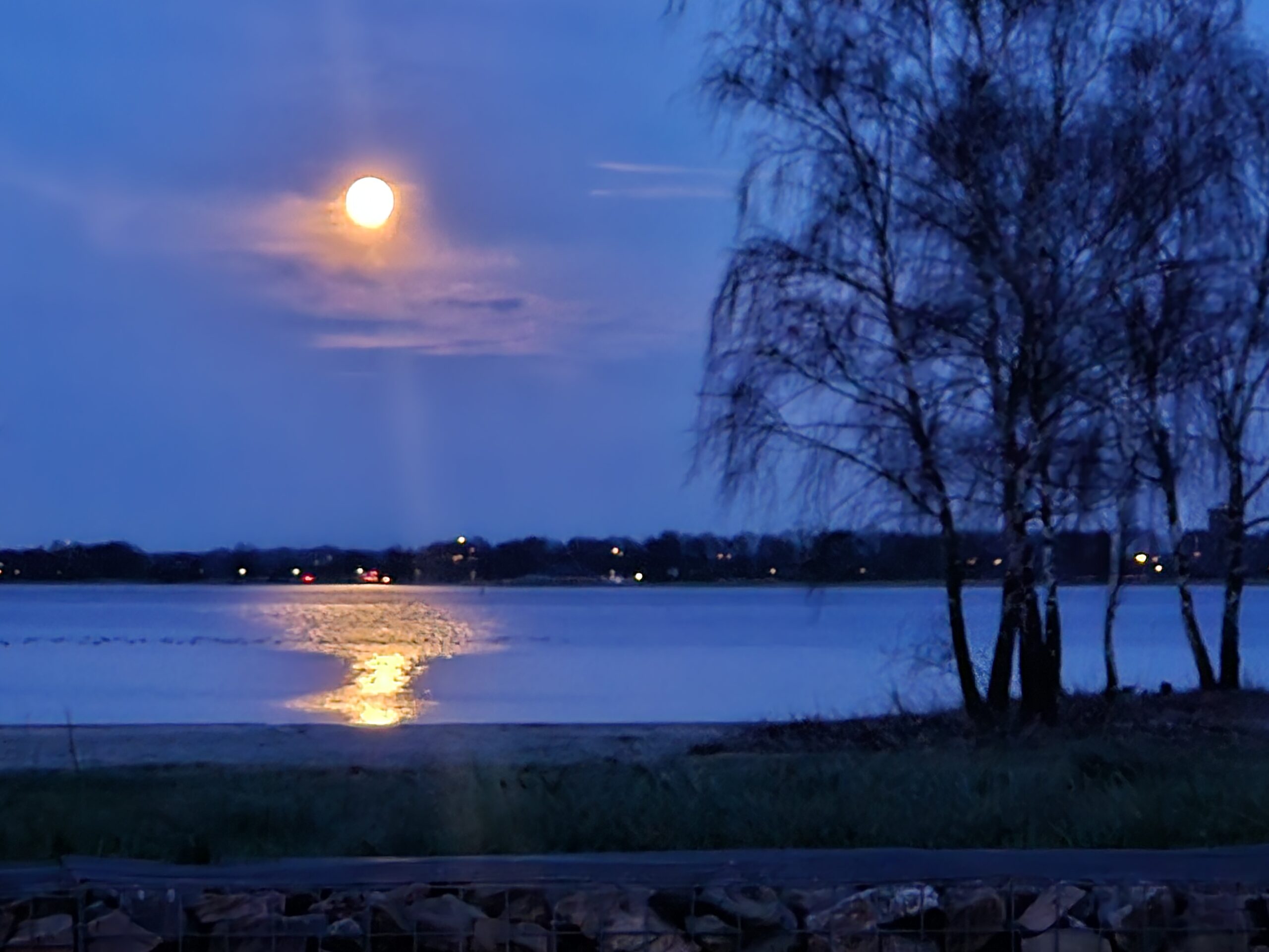 Volle maan boven meer, met reflectie in het water en silhouetten van bomen.