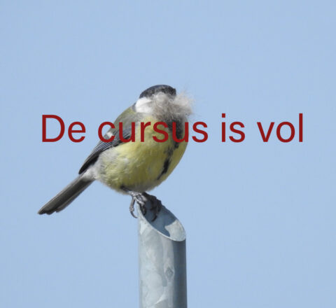 Een vogel op een paal met pluis in de snavel, tekst: "De cursus is vol".