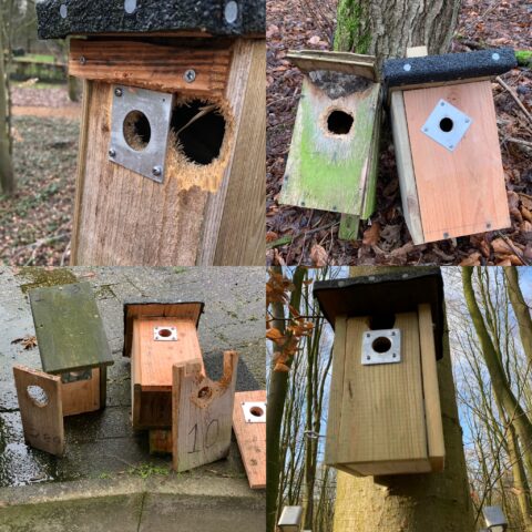 Vier vogelhuisjes, meest met beschadigde ingangen, in een bosrijke omgeving.