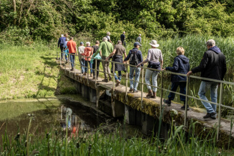Groep mensen wandelt over een smalle brug in een groene, bosrijke omgeving.