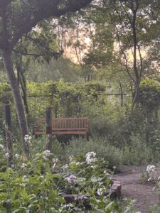 Houten bankje in een weelderige tuin bij zonsondergang, omgeven door bloemen en bomen.