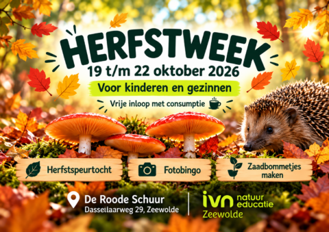 Herfstweekposter met paddenstoelen, egel, herfstbladeren en activiteiten van 19-22 okt 2026.
