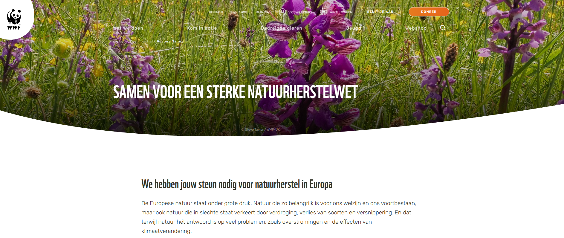 Wildflowers in grass with WWF logo and text: "Samen voor een sterke natuurherstelwet."