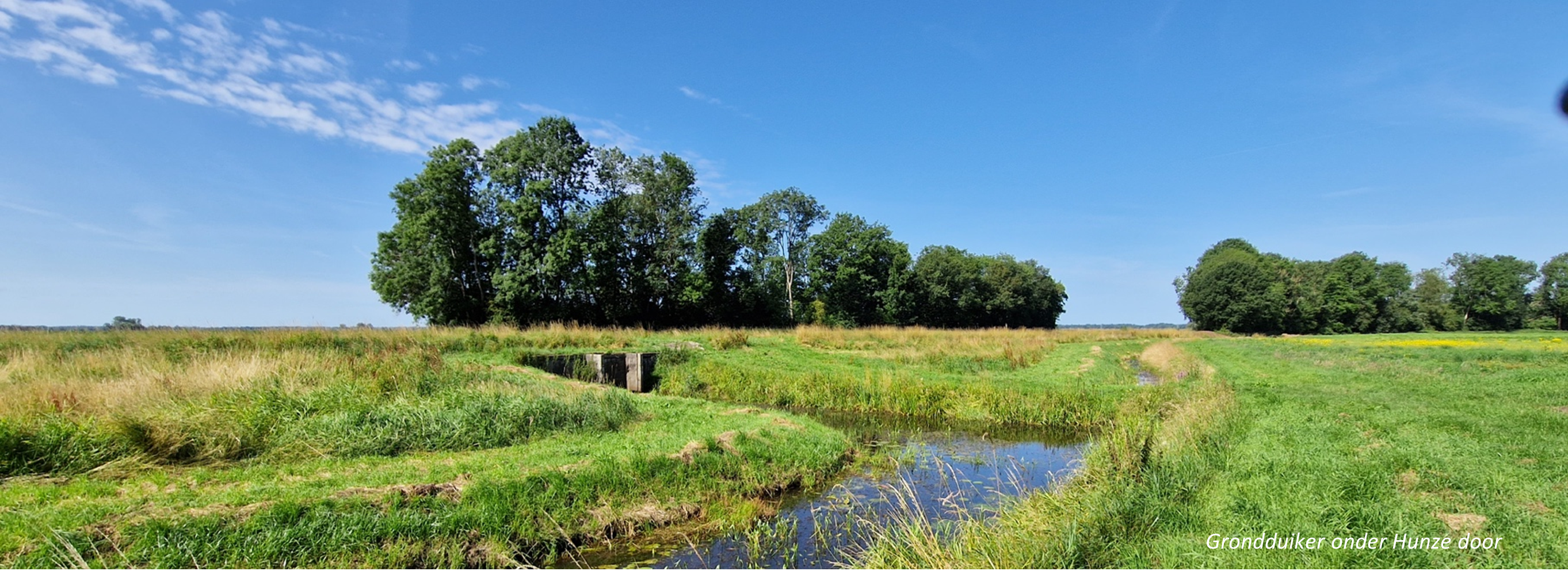Landelijk landschap met graslanden, een smal waterkanaal en een boomrijke achtergrond. Helderblauwe lucht.