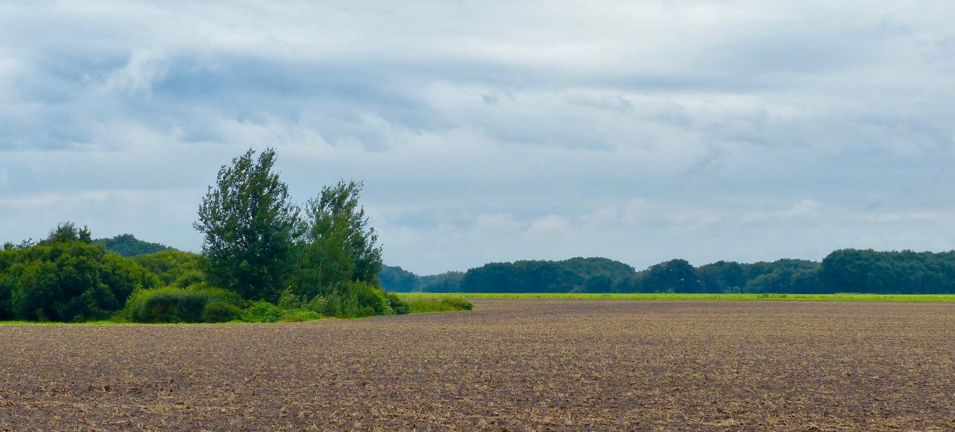 Platte akker voor groene bomen en een bewolkte lucht.