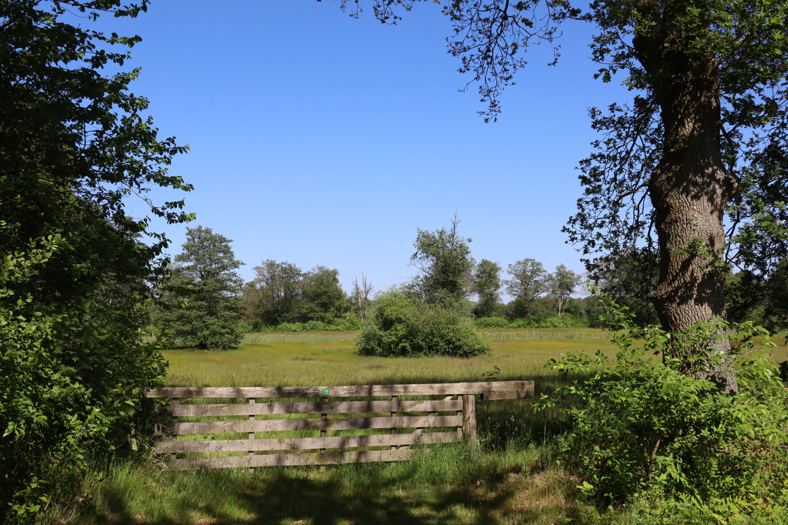 Een houten hek in een groen veld, omringd door bomen onder een heldere blauwe hemel.