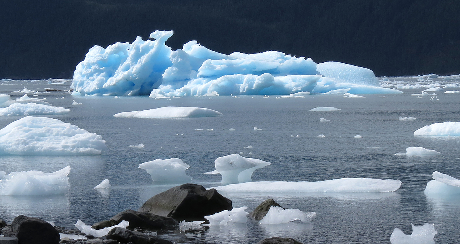 Drijvende ijsbergen in een koude baai met donkere bergachtige achtergrond.