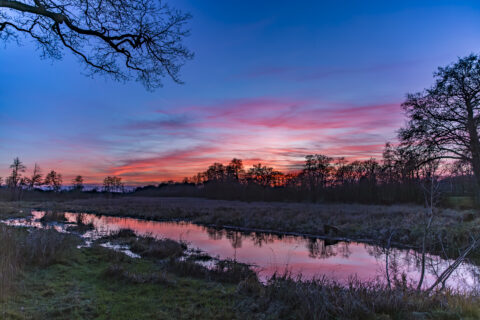 Zonsopgang boven een stilstaand water, omringd door bomen en gras, met felgekleurde lucht.