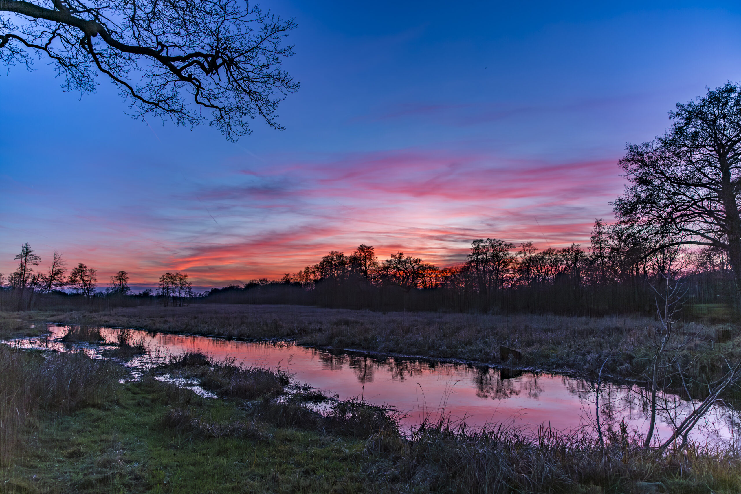 Zonsopgang boven een stilstaand water, omringd door bomen en gras, met felgekleurde lucht.
