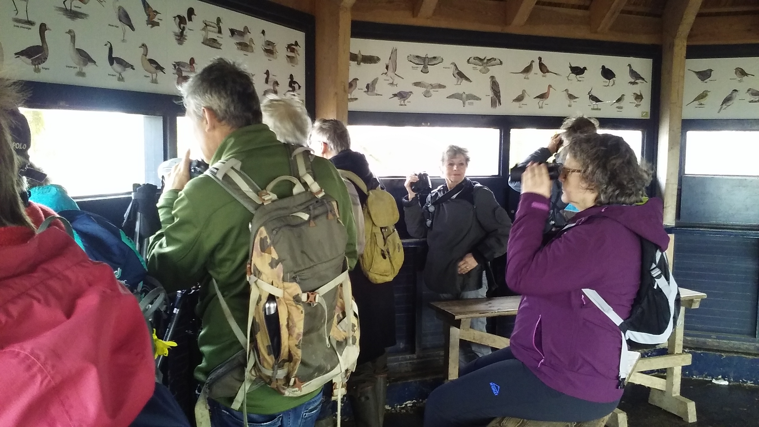 Vogelexcursie van de Grebbeberg naar en door het natuurgebied de Blauwe Kamer van Het Utrechts Landschap