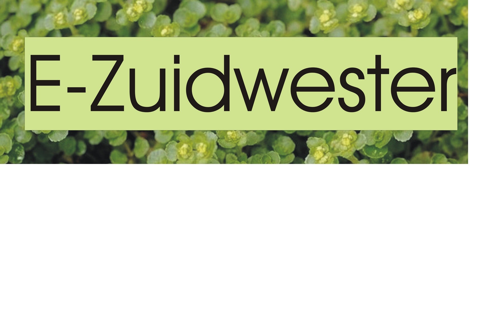 E-Zuidwester juli 2021