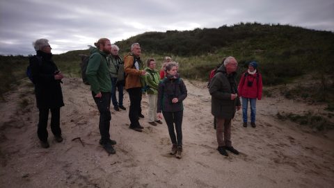 Vogelexcursie naar de Zuidpier van IJmuiden en de Kennemerduinen