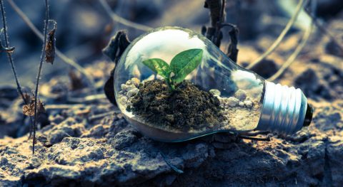 IVN Klimaatcursus van start