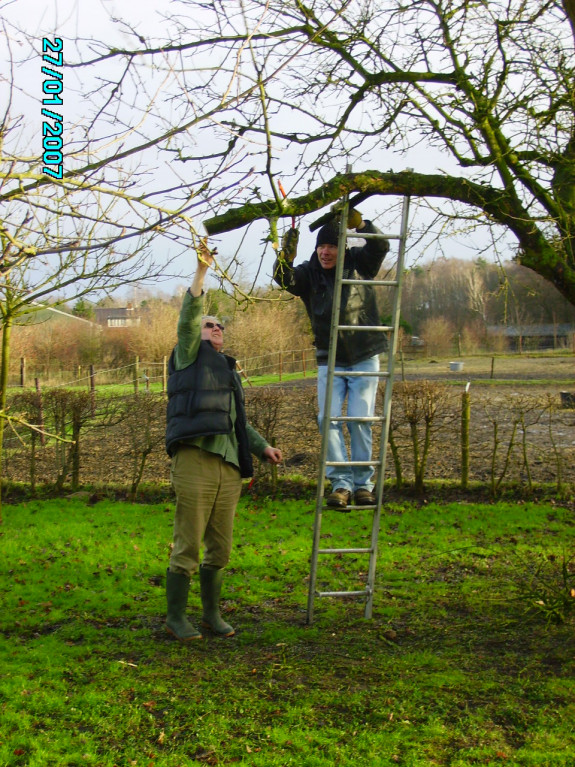 Fruitbomen snoeien