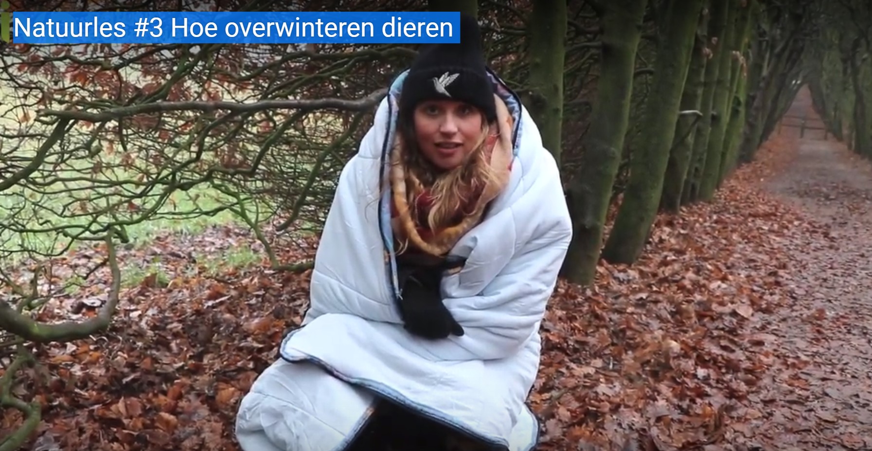Iris Hesseling Natuurles #3 en #4 Hoe overwinteren dieren en Weer