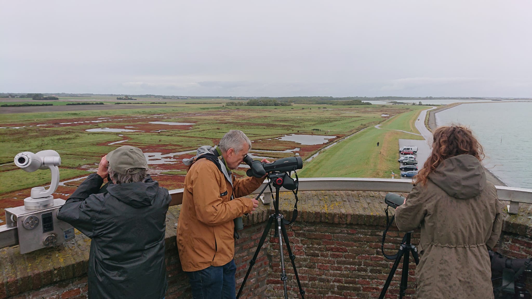 Regenbuien en vogels