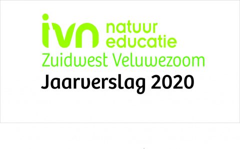 jaarverslag 2020