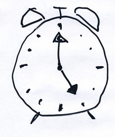 Vogelexcursie en broedvogeltelling 6 april 2019