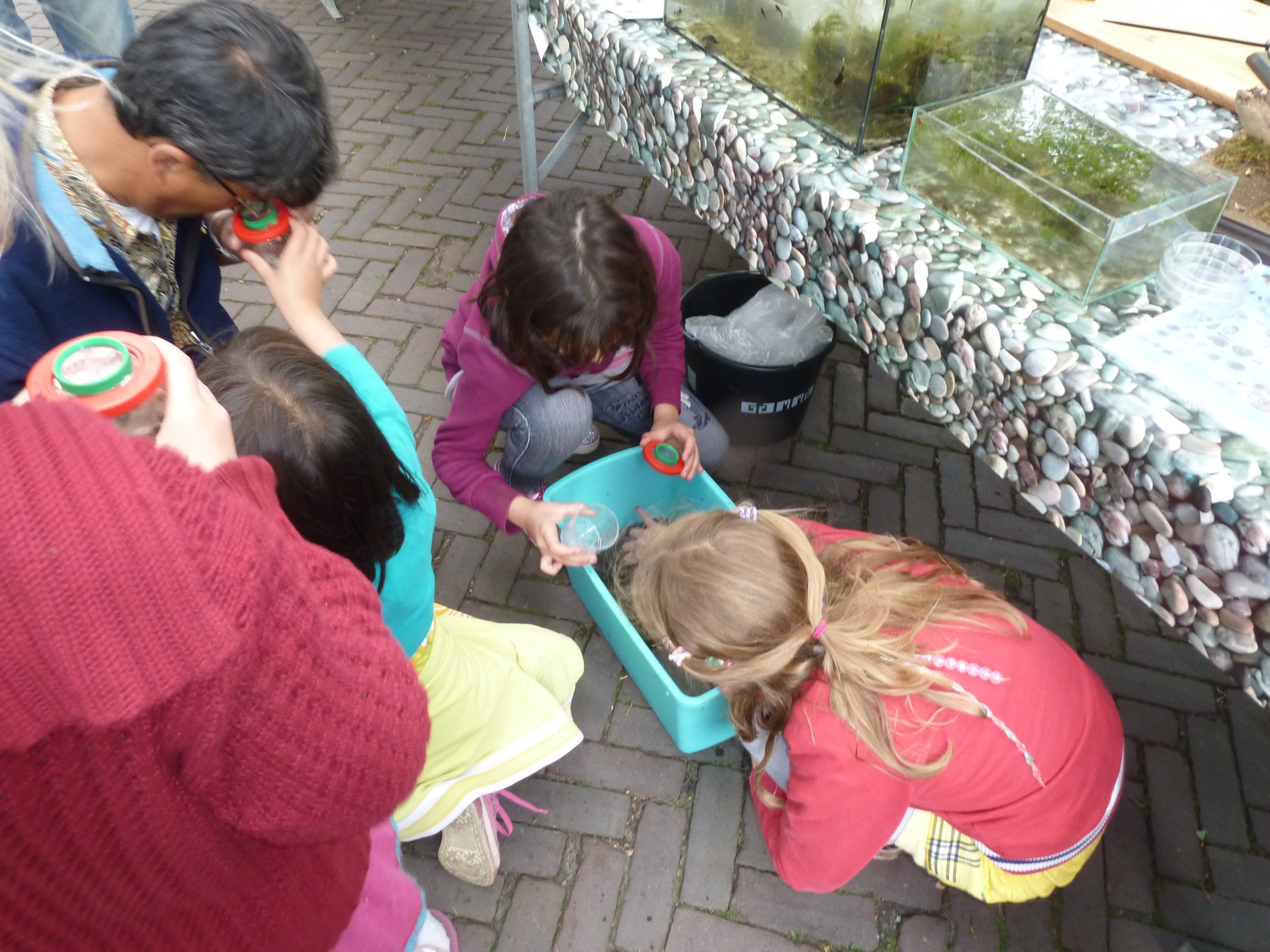 Natuurgidsencursus 2022