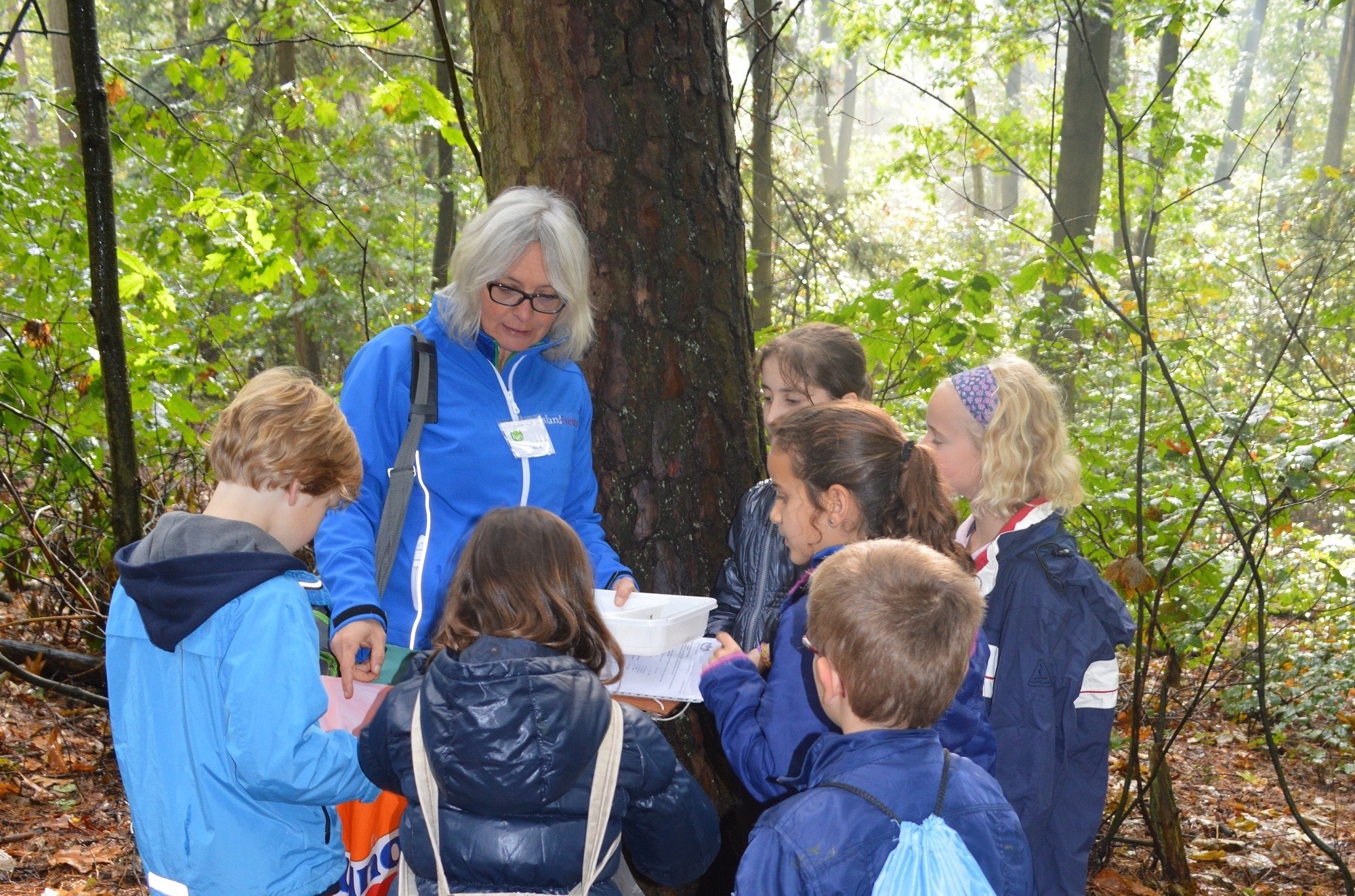 Schoolgidsencursus Renkums Beekdal en Ede start op 19 maart