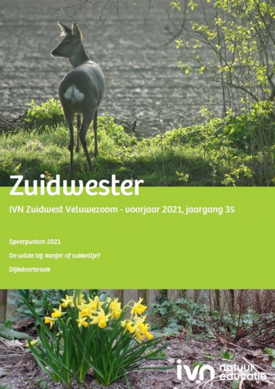 Zuidwester voorjaar 2021