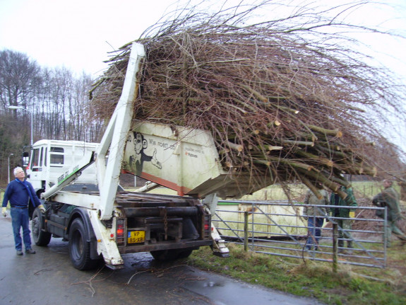 Wilgen knotten Drielse Veer
