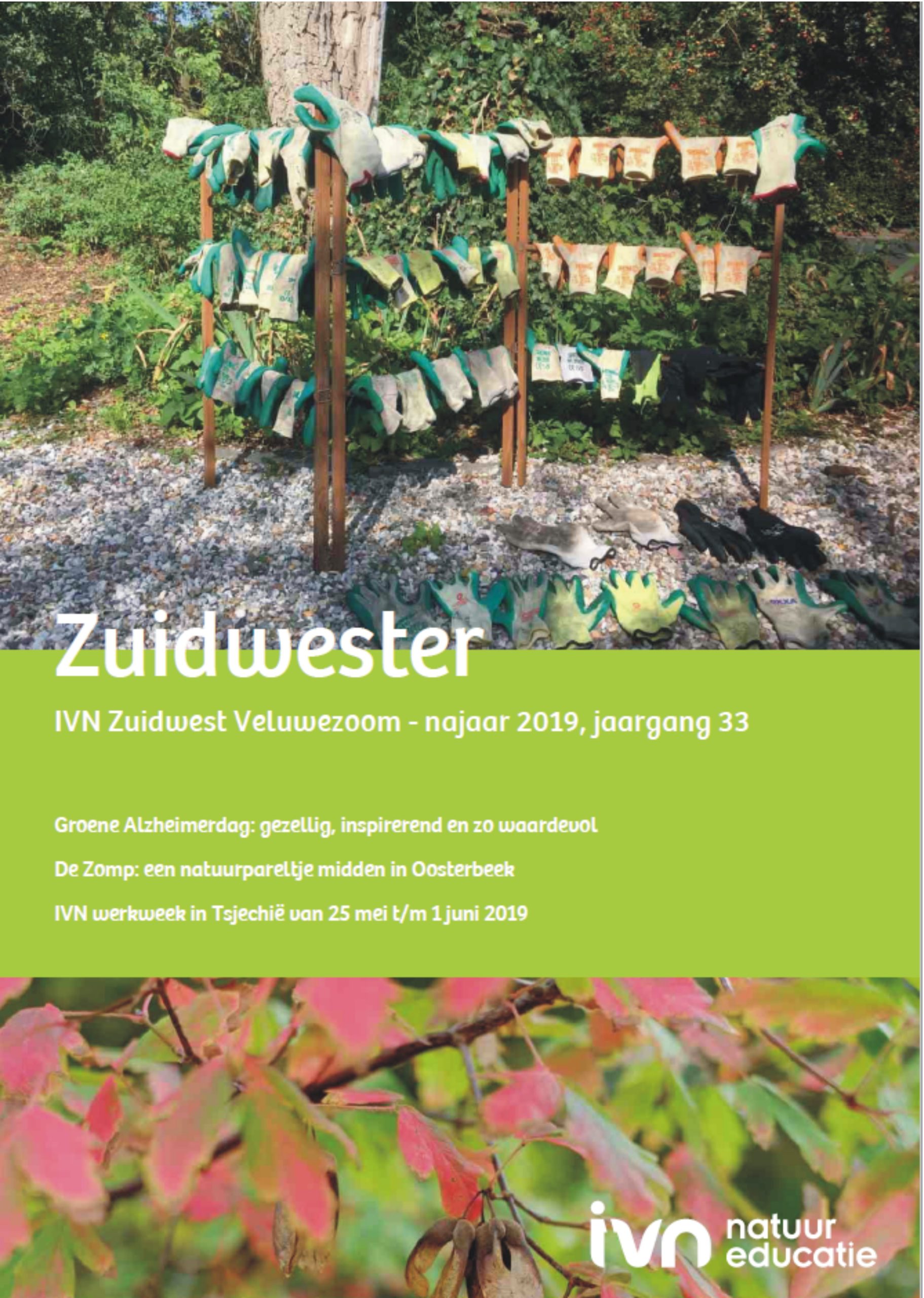 Zuidwester najaar 2019