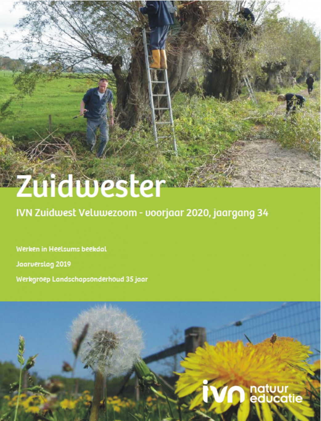 Zuidwester voorjaar 2020