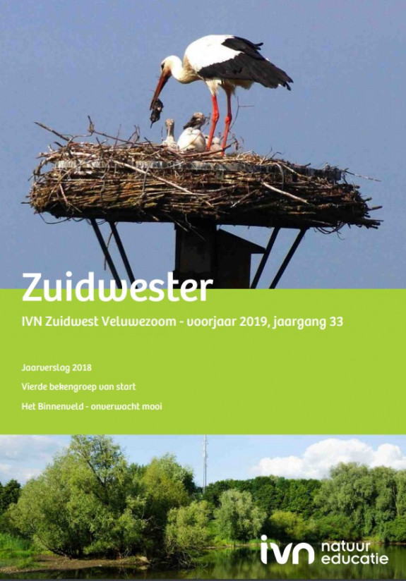 Zuidwester voorjaar 2019