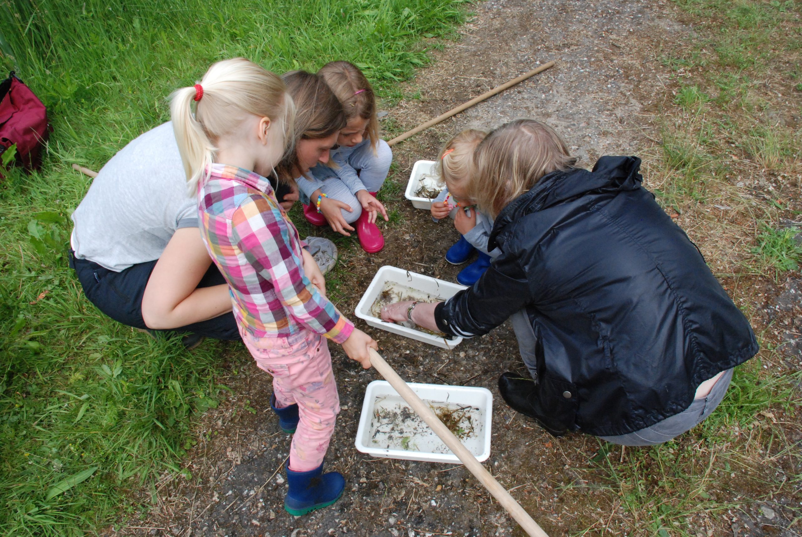 Kinderen onderzoeken waterdiertjes in bakjes met een begeleider buiten op een grasrijke plek.