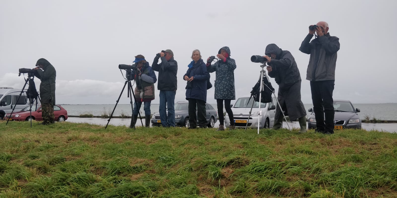 Groep mensen met verrekijkers en telescopen kijkt naar zee op een winderige dag, auto's op achtergrond.