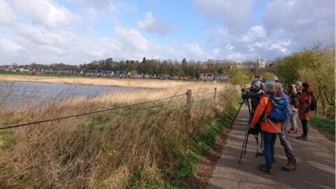 Groep fotografen langs een meer richt hun camera's naar overkant met huizen en bomen.