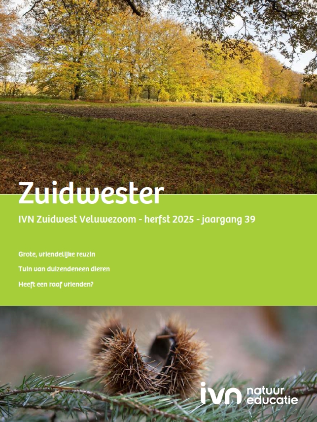 Herfstbos met groene strook van tijdschrift "Zuidwester", focus op natuur en educatie.