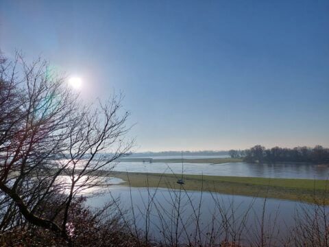 Zon boven een rivierlandschap met kale bomen en blauwe lucht.