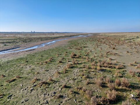 Drooggevallen landschap met verspreide begroeiing en een smal beekje onder een heldere, blauwe lucht.
