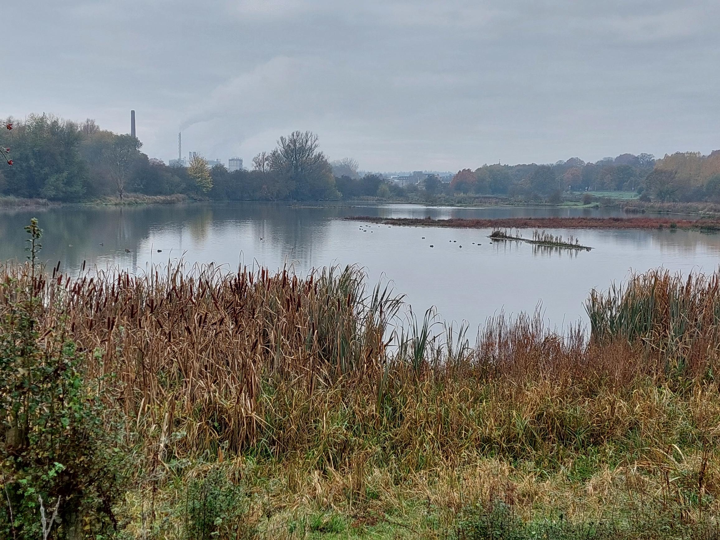 Rustig meer met riet en bomen; fabrieken en rook op de achtergrond onder een grijze lucht.